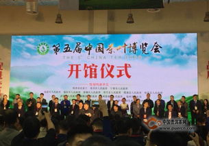 第五届中国茶叶博览会盛大启幕，云茶借力山东平台加速南茶北销，开拓会展新格局